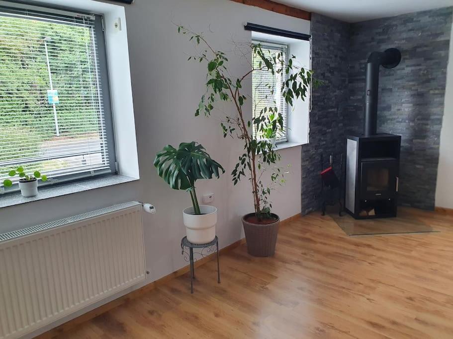 Kornhaus - Schoene Ferienwohnung Mit Pool, Kamin Und Terrasse Gottinga Esterno foto